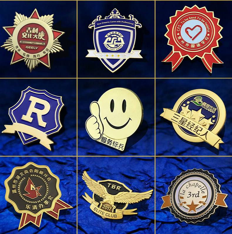 snqp徽章定做金属胸针胸章勋章定制胸徽logo班校徽订做纪念币 定做