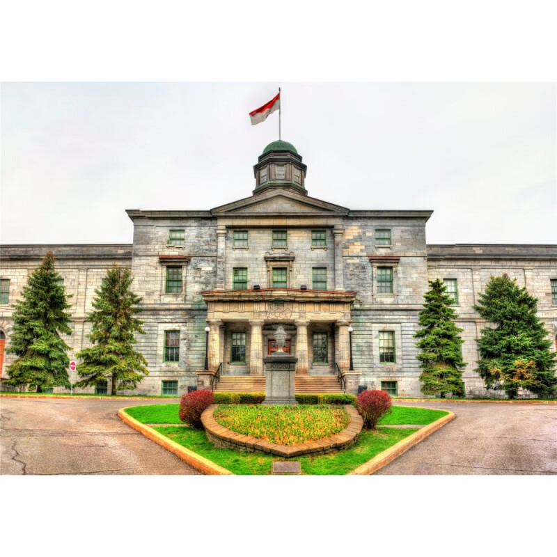 狼天影  国外大学校园海报墙贴画耶鲁斯坦福墙上床头贴纸可来图定制