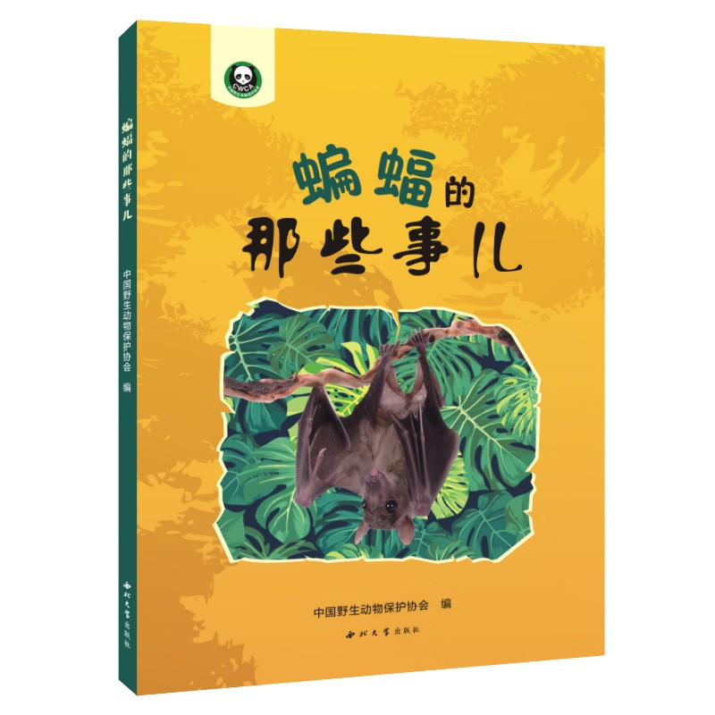 蝙蝠的那些事儿 童书科普百科书籍 7-14岁少年儿童课外科普读物 儿童