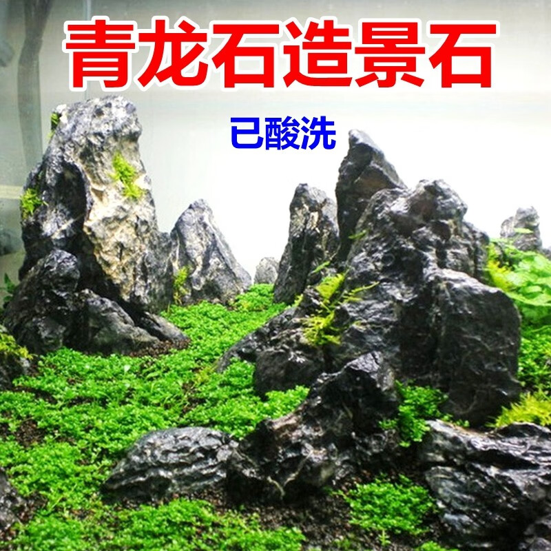 造景假山酸洗天然造景石头水族箱造景素材松皮石木化 酸洗青龙石1斤