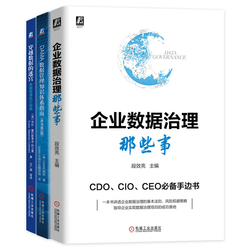 企业数据治理那些事+DAMA数据管理知识体系指南（原书第2版）+穿越数据的迷宫数据管理执行指南 3本套 数据管理&治理用书