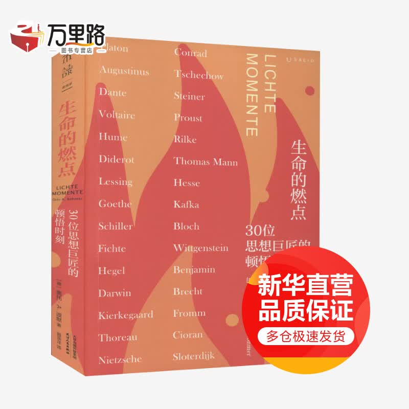 生命的燃点 30位思想巨匠的顿悟时刻