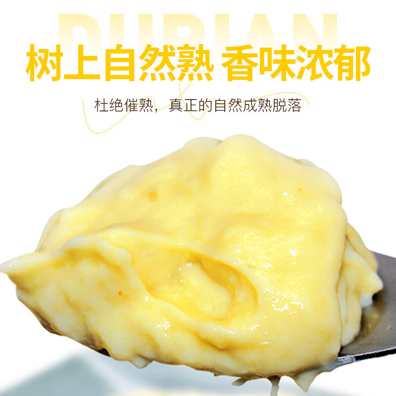 喜德农马来西亚苏丹王d24果泥1kg榴莲泥冷冻无核果肉泥高端甜品烘焙商用 1kgx1包 苏丹王D24榴莲果泥