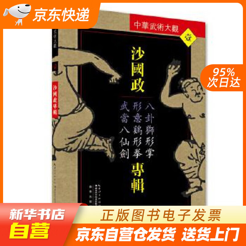 【新华书店正版】沙国政专辑：八卦狮形掌、形意鸡形拳、武当八仙剑 沙国政 湖北科学技术出版社 正版图书籍