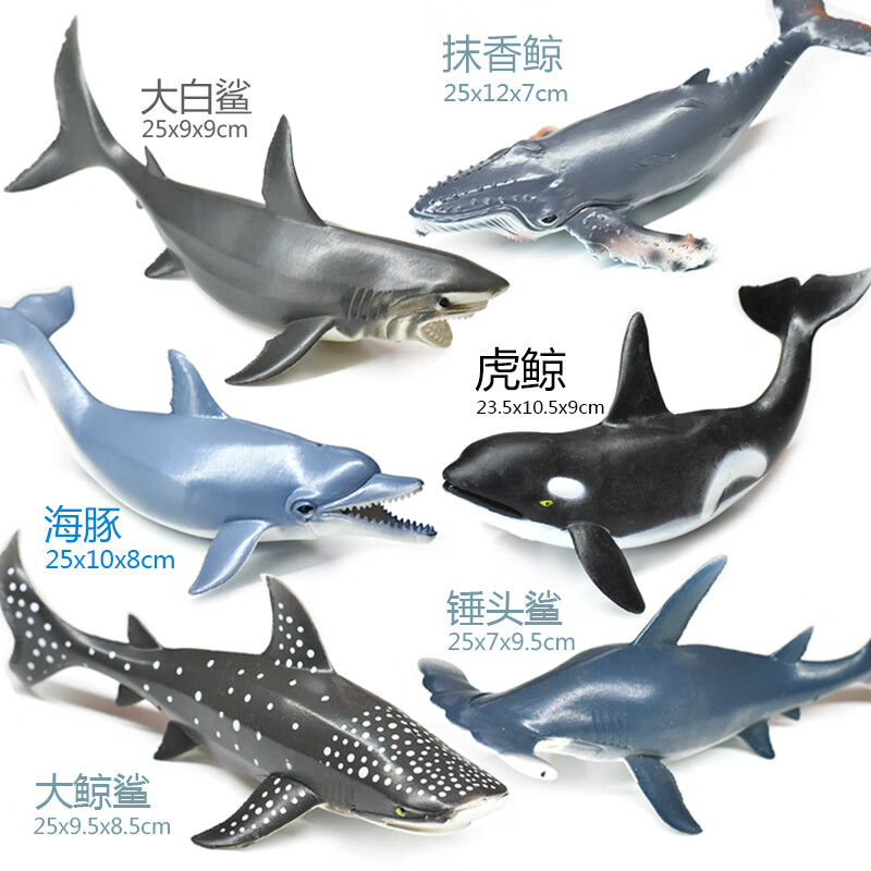 白鲨鱼虎鲸鲨海豚动物海洋生物模型儿童玩具 环保 全软胶 海洋鲨鱼6款