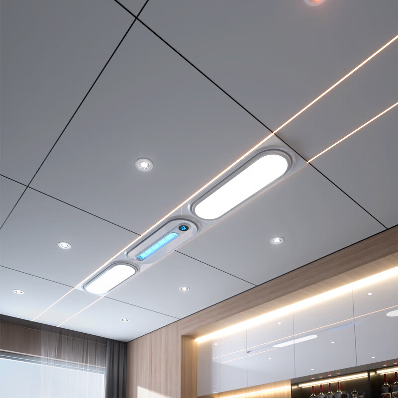 AIIAGRI阿莱格里凉霸厨房专用空调家用冷霸嵌入式新风换气制冷照明二合一 蜂窝大板定制1平米
