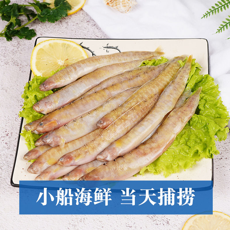 【新鲜好货】新鲜凤尾鱼海泥鳅面条鱼皮条鱼纯条海鱼批发速冻 鲜木鲜