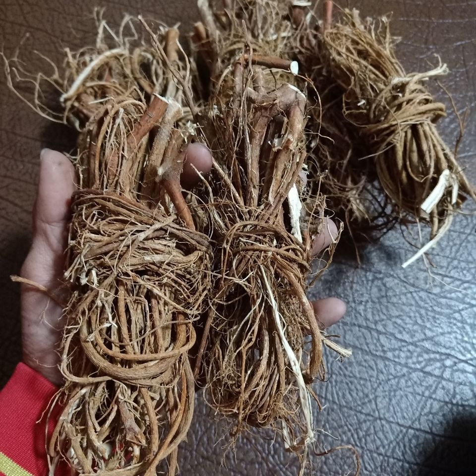 七爪毛桃七子毛桃福建漳州草药七指毛桃根七爪毛桃 细根捆扎浓香500g