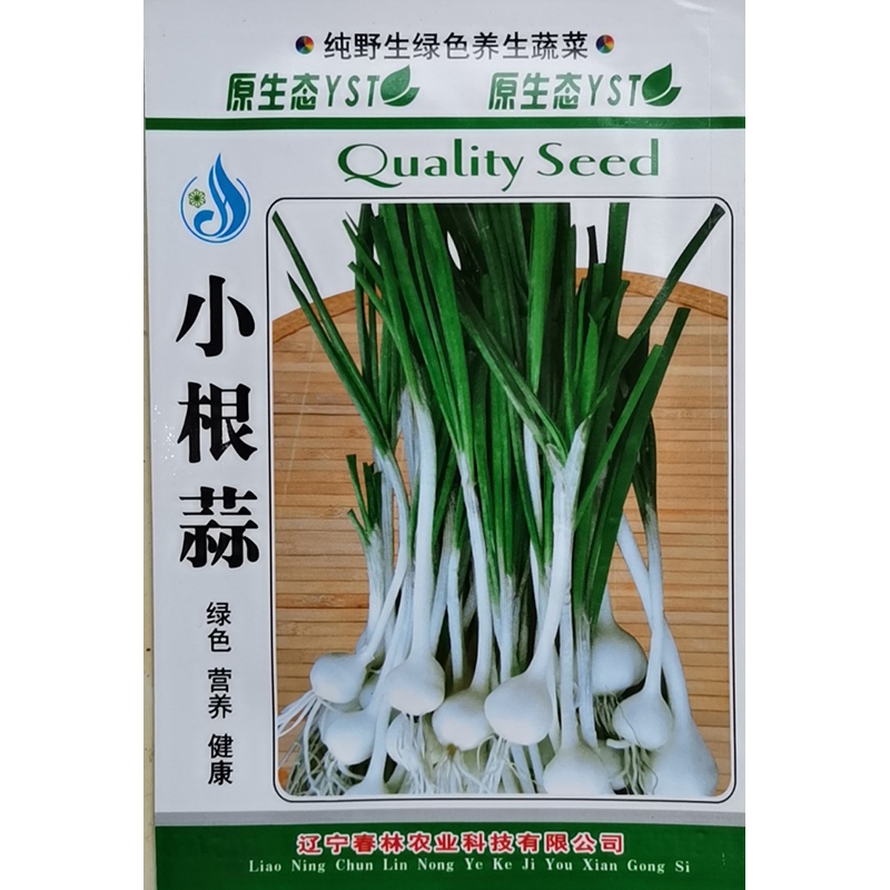 叶韭葱野蒜大脑瓜春夏秋冬四季阳台蔬菜种孑子 【小根葱1包】约200粒