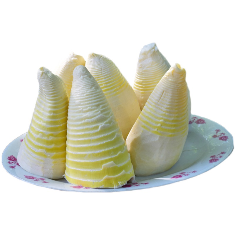 不吃小鱼 江西大冬笋新货5斤装新嫩竹笋水煮笋春笋清水竹笋袋装火锅