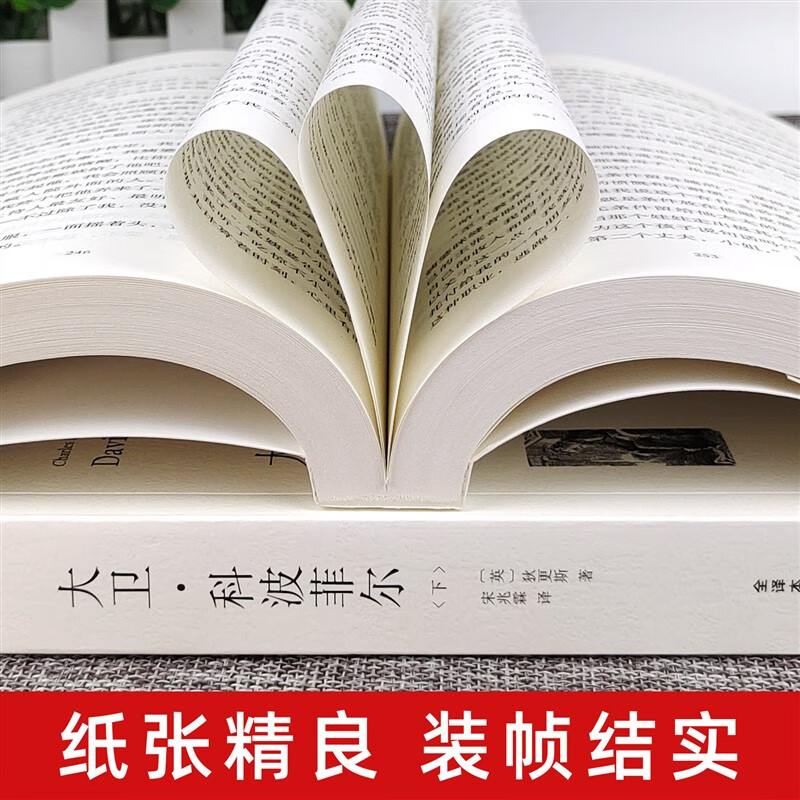 【严选】大卫科波菲尔高中生版查尔斯狄更斯著高一必读课外书全译本原 2本大卫科波菲尔上下册