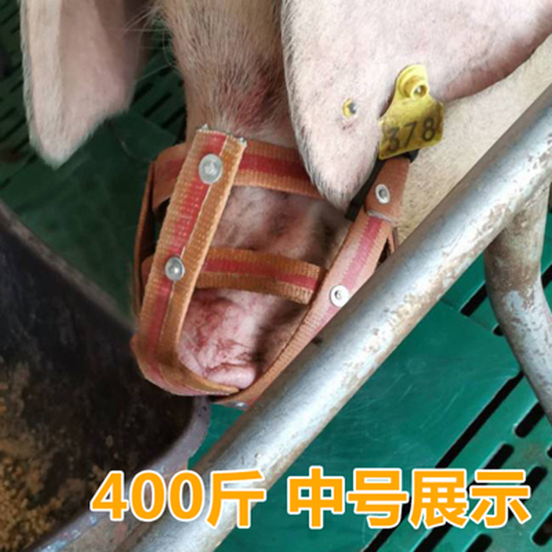户外套猪神器新款加厚母猪嘴套母猪防咬嘴套小猪防咬神器 中号母猪嘴