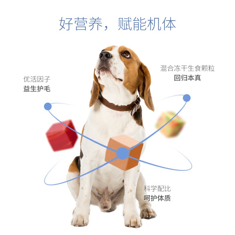 伯纳天纯无谷通用狗粮真实使用感受,真相揭秘入手感受