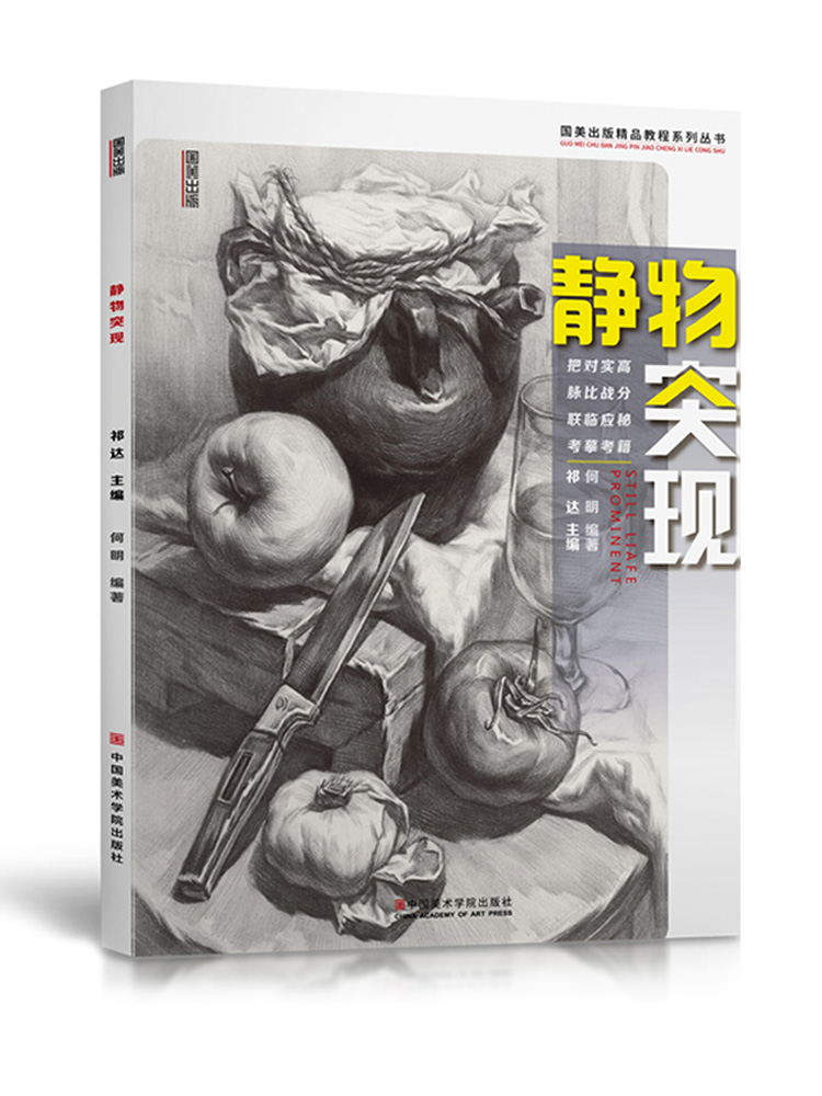 静物突现 素描组合水果单体组合结构基础入门照片对画