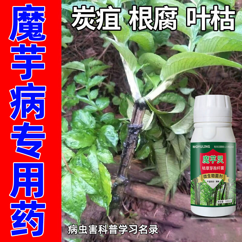 魔芋根腐病专用杀菌剂魔芋软腐病白绢病褐斑病叶斑病霜霉病杀菌剂