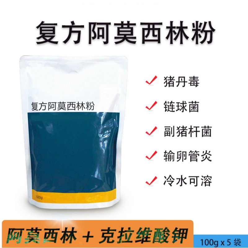 复方阿莫西林粉兽用兽药克拉维酸钾猪药副猪链球菌鸡输卵管炎禽药