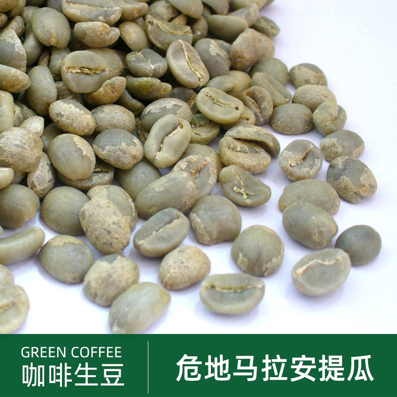 绿之素 危地马拉安提瓜SHB咖啡生豆原料 进口生咖啡豆500g