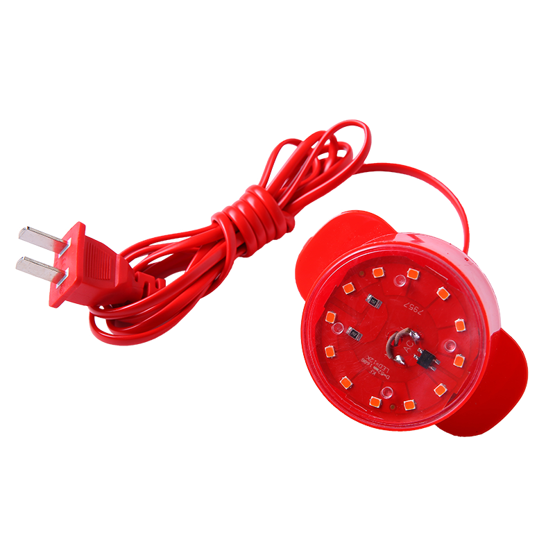 新新精艺手工制作节庆饰品——让您的节日更加精彩！