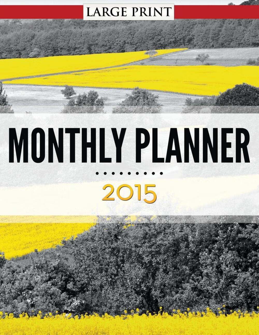 【预售 按需印刷】monthly planner 2015 large print