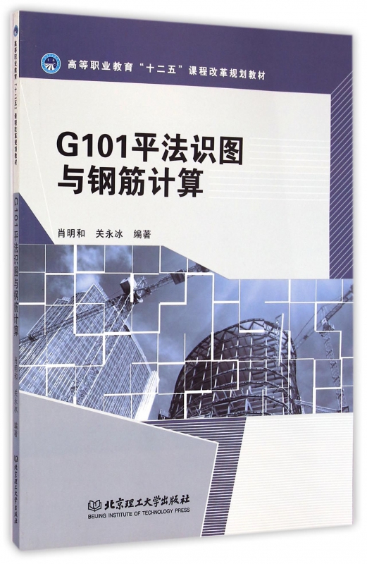 g101平法识图与钢筋计算(高等职业教育十二五课程改革规划教材)