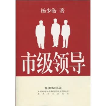 市级领导 杨少衡 著【正版】
