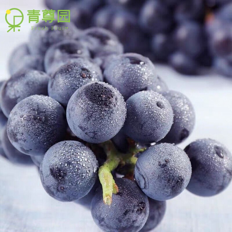 青尊园巨峰葡萄 辽峰大葡萄新鲜水果特产无籽葡萄 3斤 2串精选装