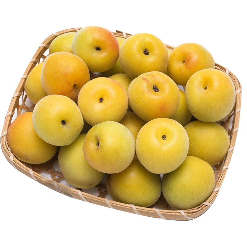 2022新鲜黄梅5斤大果青梅鲜果诏安青梅泡酒酵素酸熟梅子福建