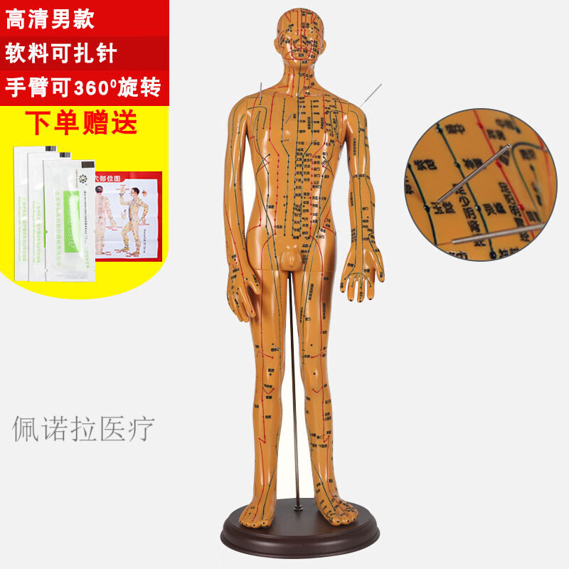 人体针灸模型十二经络 穴位中医全身铜人模特图 可扎针练习小皮人