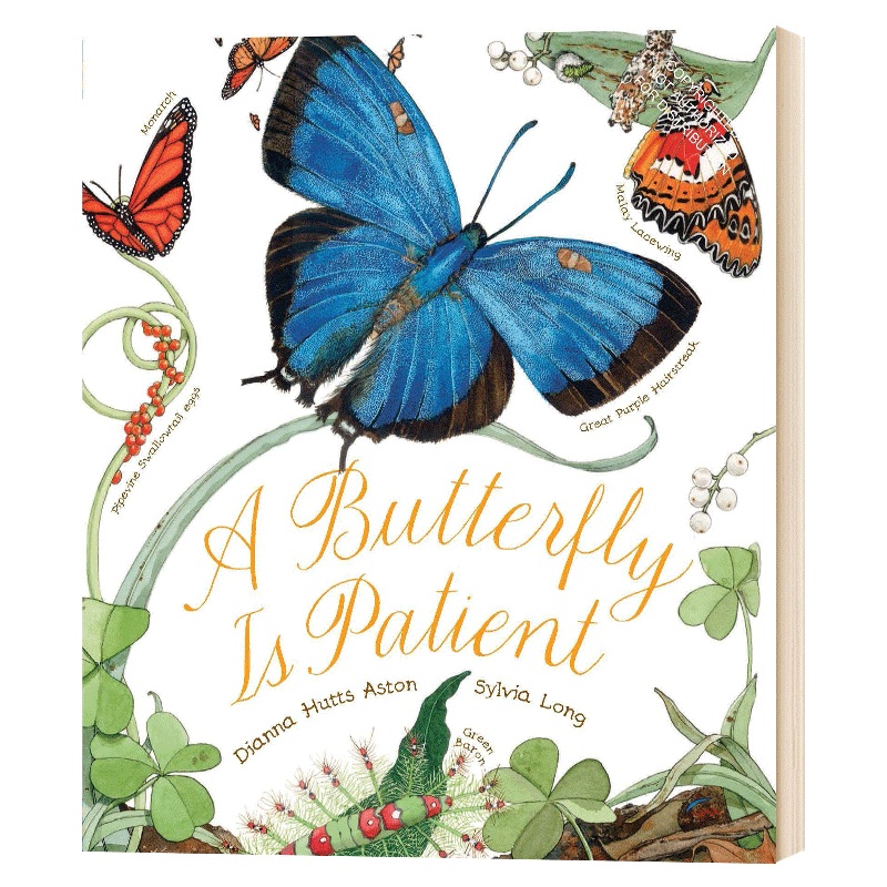美丽成长生命科普系列 耐心的蝴蝶 butterfly is patient 全英文版