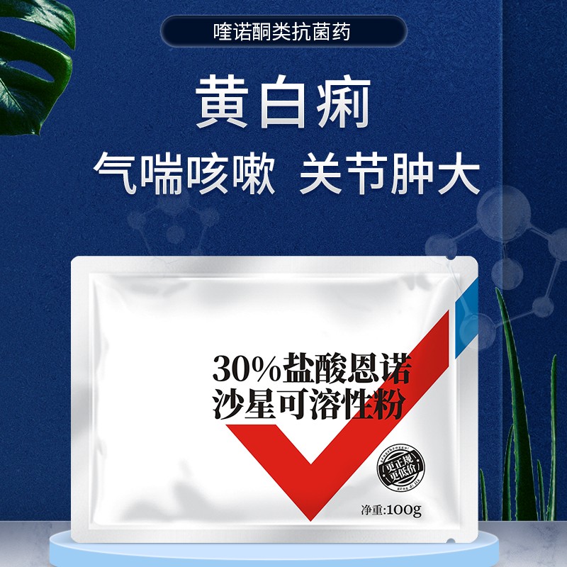 派克斯 兽药恩诺沙星100g 猪药鸡药禽药 牛羊药水产支原体鸡白痢猪黄