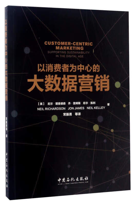 以消费者为中心的大数据营销【正版图书,放心购买】