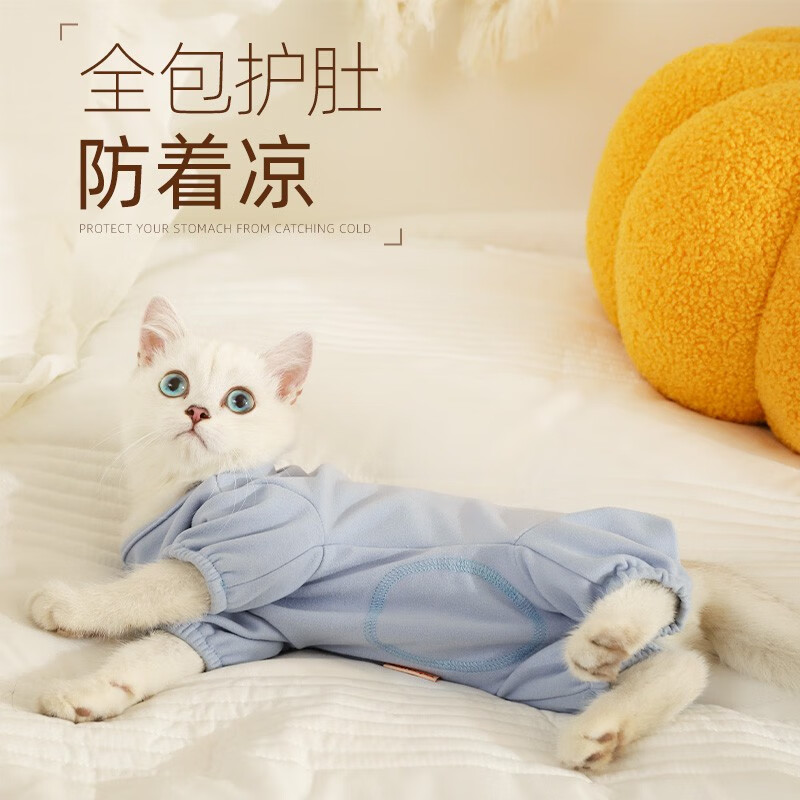 华元宠具（hoopet）猫咪衣服防掉毛蓝猫宠物布偶英短美短秋冬薄款冬季保暖可爱四脚衣 【德绒款】小熊护肚衣-蓝 L-（建议10-14斤）