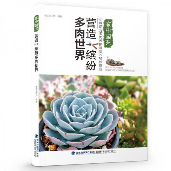 营造缤纷多肉世界978753355411