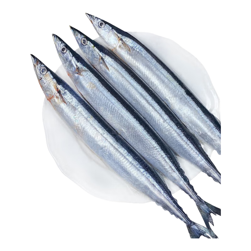 ���ڲ������������� ����ﵶ�� 2�� ���� ���ʺ����ʻ��䶳 ���������տ�ʳ��