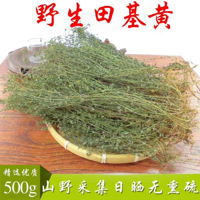 杞里香  田基黄中药新鲜干货地耳草益肝草药材七寸金寸金草青草药干货