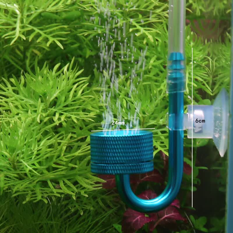 Co2 相关京东优惠商品 2 价格图片品牌优惠券 虎窝购