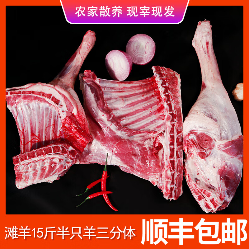大漠时光【顺丰包邮】宁夏滩羊新鲜现宰半只羊肉羊腿羊排整只羊过节礼盒装 滩羊15斤整半只羊【礼盒装】
