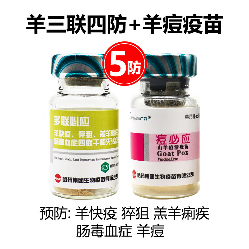 文枝羊疫苗哈药羊三联四防疫苗羊快疫羔羊痢疾肠毒血症疫苗多联必应