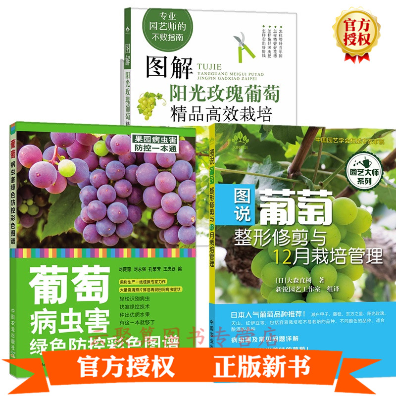 2021图解阳光玫瑰葡萄精品高效栽培+病虫害绿色防控彩色图谱整形修剪与12月栽培管理大棚棚室葡萄种植