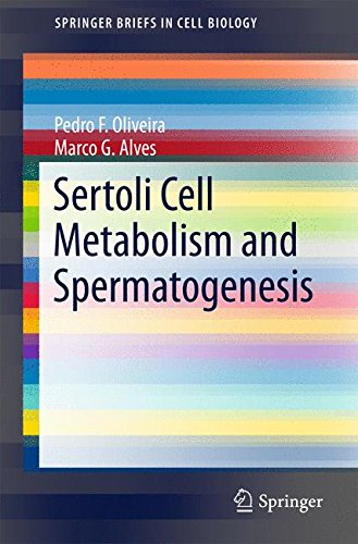 【预订】sertoli cell metabolism and