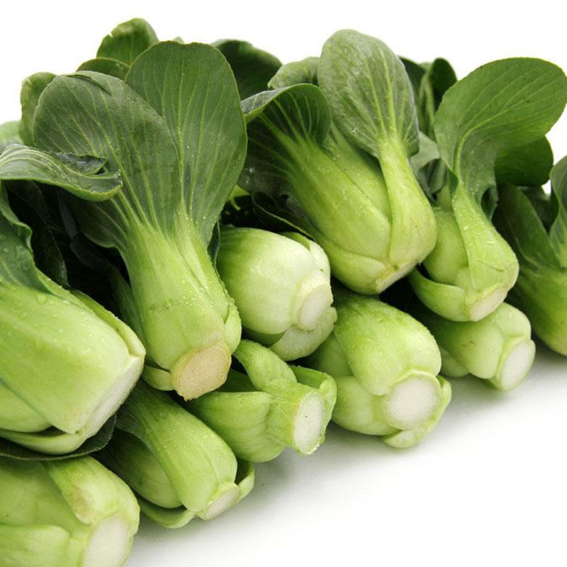 源外现摘冻伤青 新鲜蔬菜 冻伤崇明青菜 无上海矮脚菜 小青菜 净重