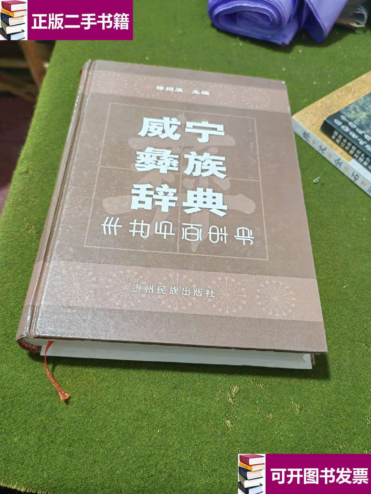 【二手9成新】威宁彝族辞典 /禄绍康 贵州民族