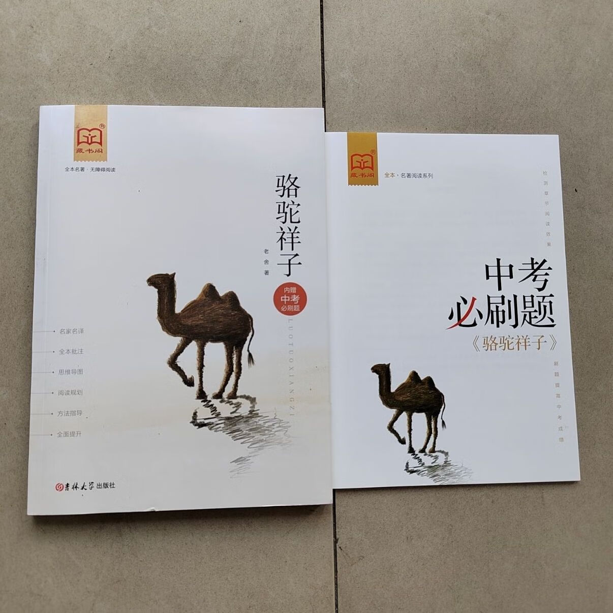 22藏书阁名著昆虫记艾青诗选朝花夕拾儒林