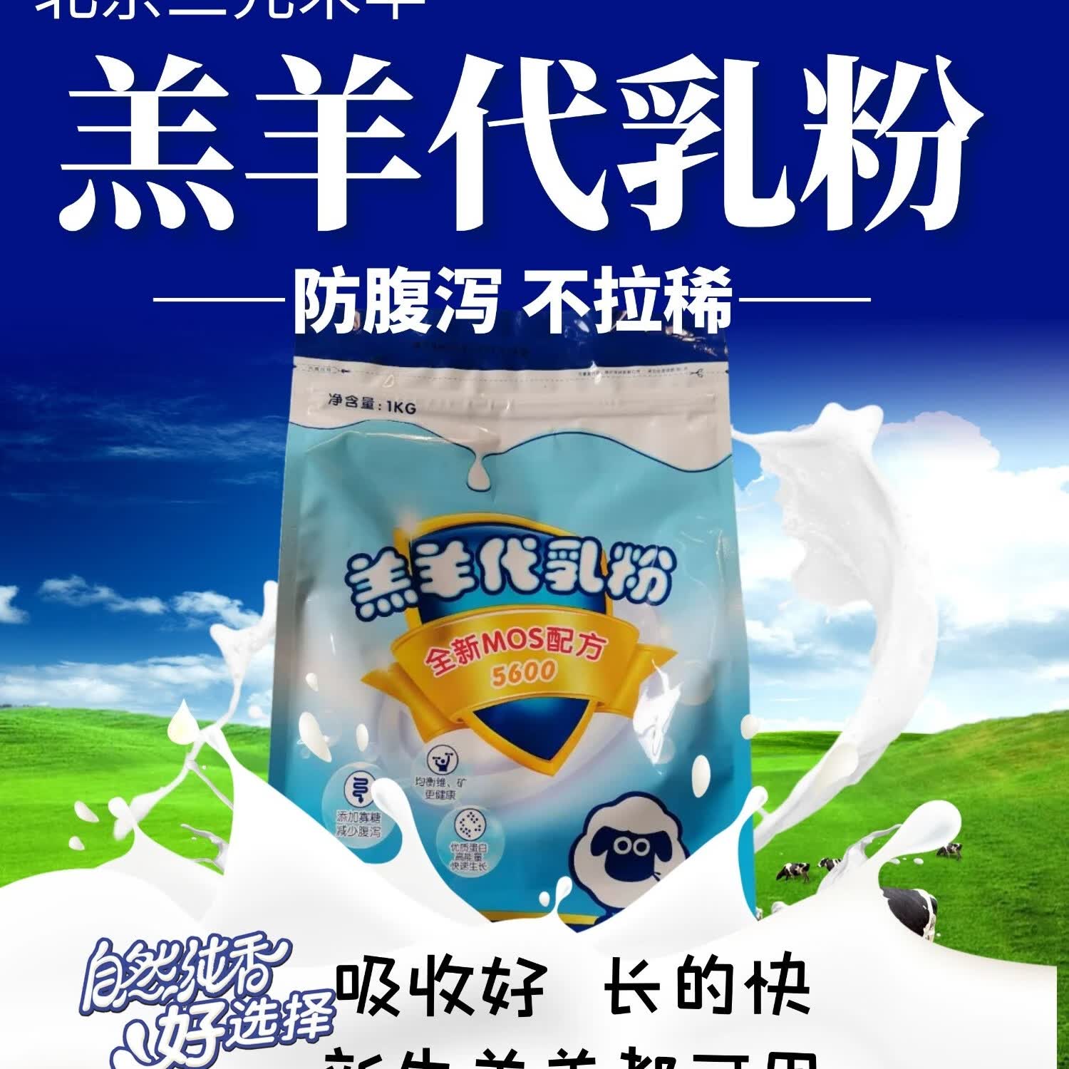 北京三元禾丰羊奶粉兽用小羊羔奶粉羔羊奶粉刚出生小羊专用奶粉 羔羊代乳粉1箱20包送奶桶1个属于什么档次？