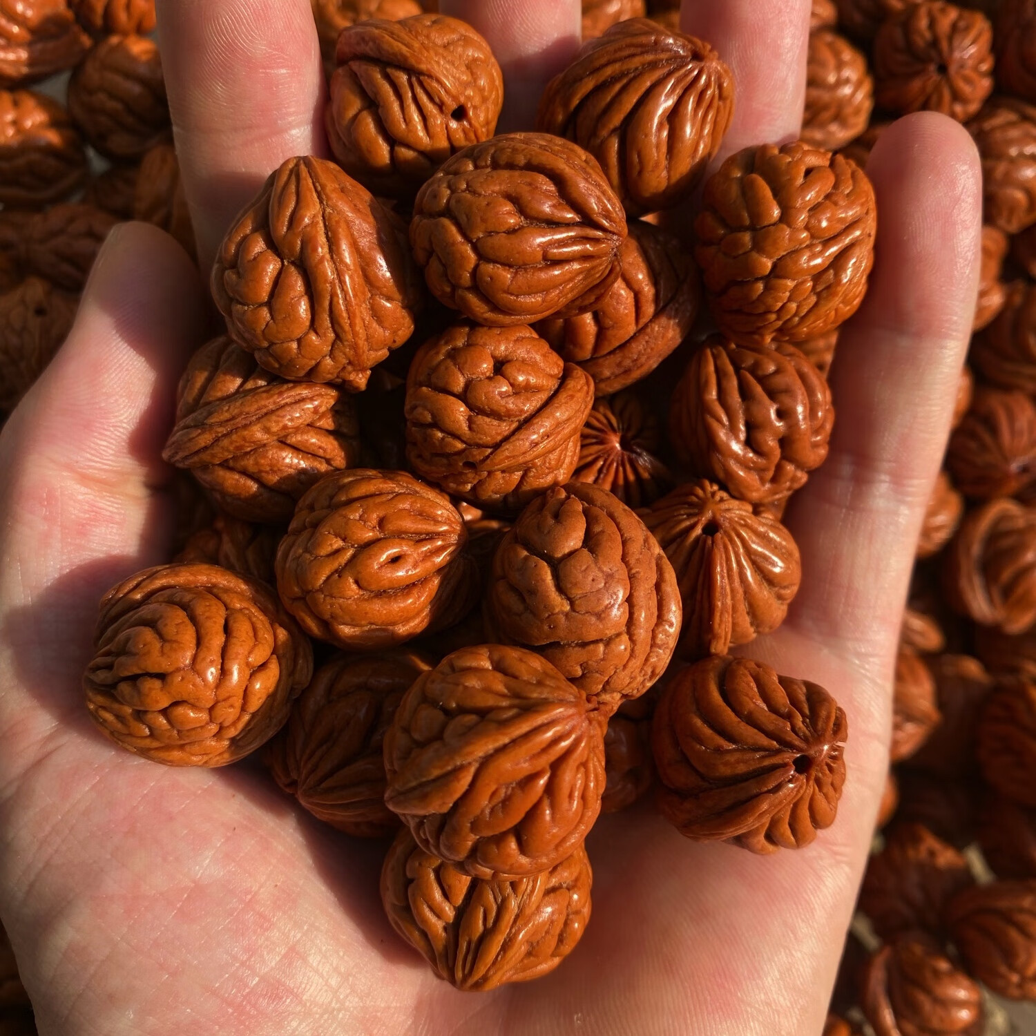 bhiodha秦岭野长霸王龙龙纹桃核打底包浆打孔散籽散装男女文玩手串 18