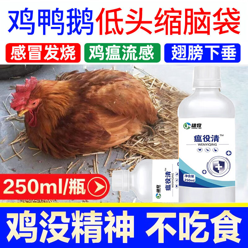 雄牧瘟疫清鸡鸭鹅家禽用鸡药大全抗病毒流感感冒咳嗽呼噜鸡病鸡瘟 1瓶【试用】使用感如何?