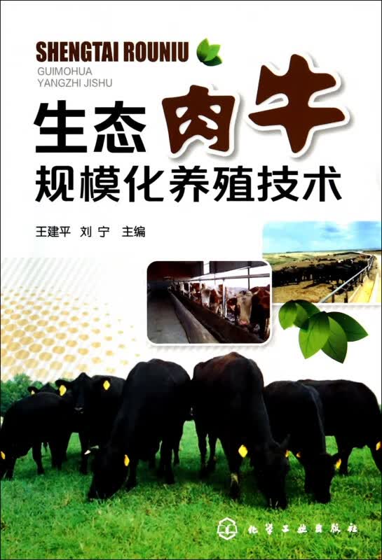 生态肉牛规模化养殖技术