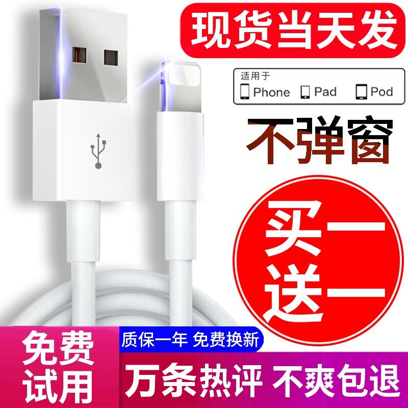 驯龙师（dragon master） 适用快充安卓苹果数据线iphone12充电线器i/h 【1米/2条】苹果快充数据线