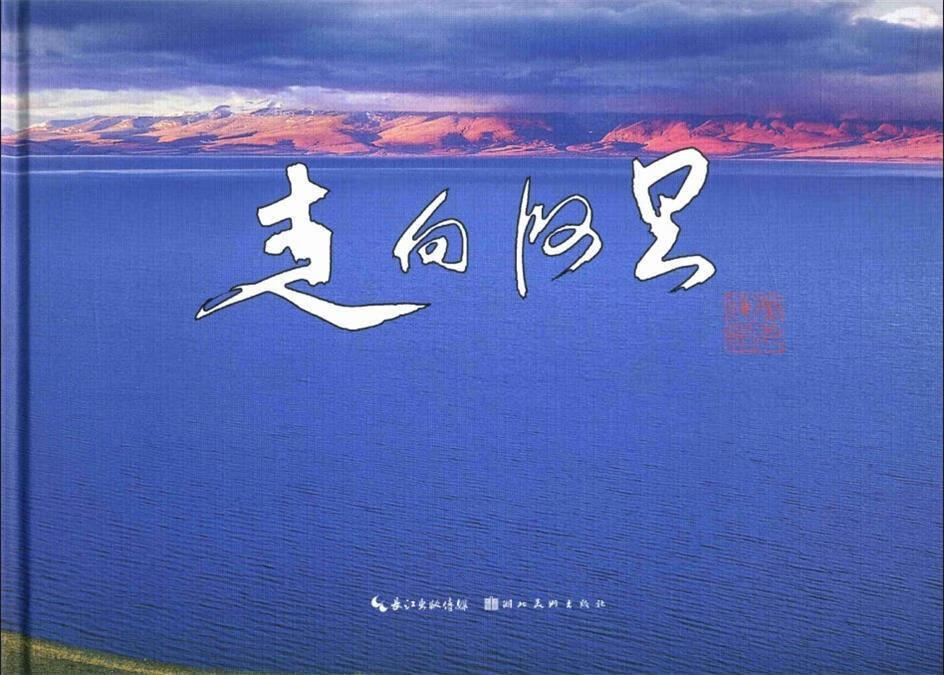 走向阿里 张元辉 著 湖北美术出版社