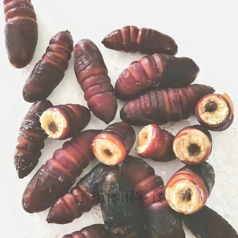 食怀松狗子蛹松蛹毛毛虫松树虫新鲜速冻蚕蛹昆虫美食虫蛹批发特产蛹子